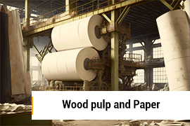 Wood pulp and paper